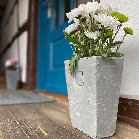 Apartament Traumhaft Wohnen Im Haus Blum Herbolzheim Zewnętrze zdjęcie
