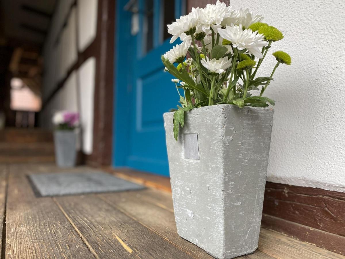 Apartament Traumhaft Wohnen Im Haus Blum Herbolzheim Zewnętrze zdjęcie