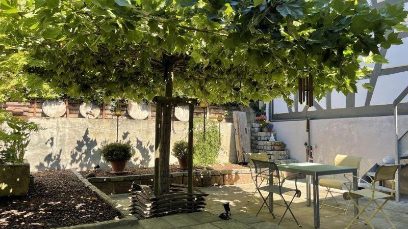 Apartament Traumhaft Wohnen Im Haus Blum Herbolzheim Zewnętrze zdjęcie